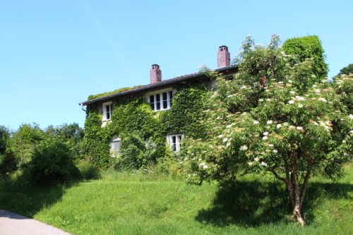 Altes Michaelihaus Außenansicht Stand: 2025